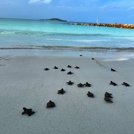 Cap Jean Marie Beach Villas Anse Kerlan Buitenkant foto